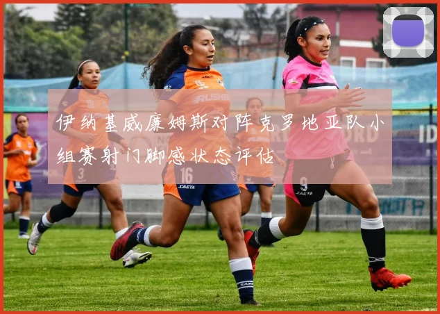 伊纳基威廉姆斯对阵克罗地亚队小组赛射门脚感状态评估