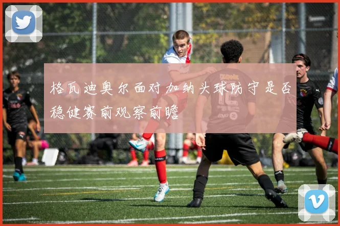 格瓦迪奥尔面对加纳头球防守是否稳健赛前观察前瞻
