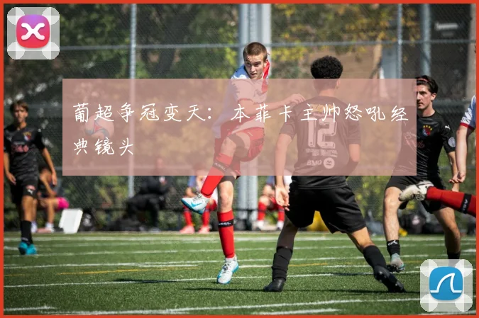 葡超争冠变天：本菲卡主帅怒吼经典镜头