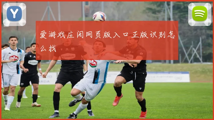 爱游戏庄闲网页版入口正版识别怎么找