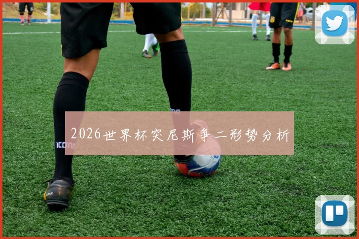 2026世界杯突尼斯争二形势分析